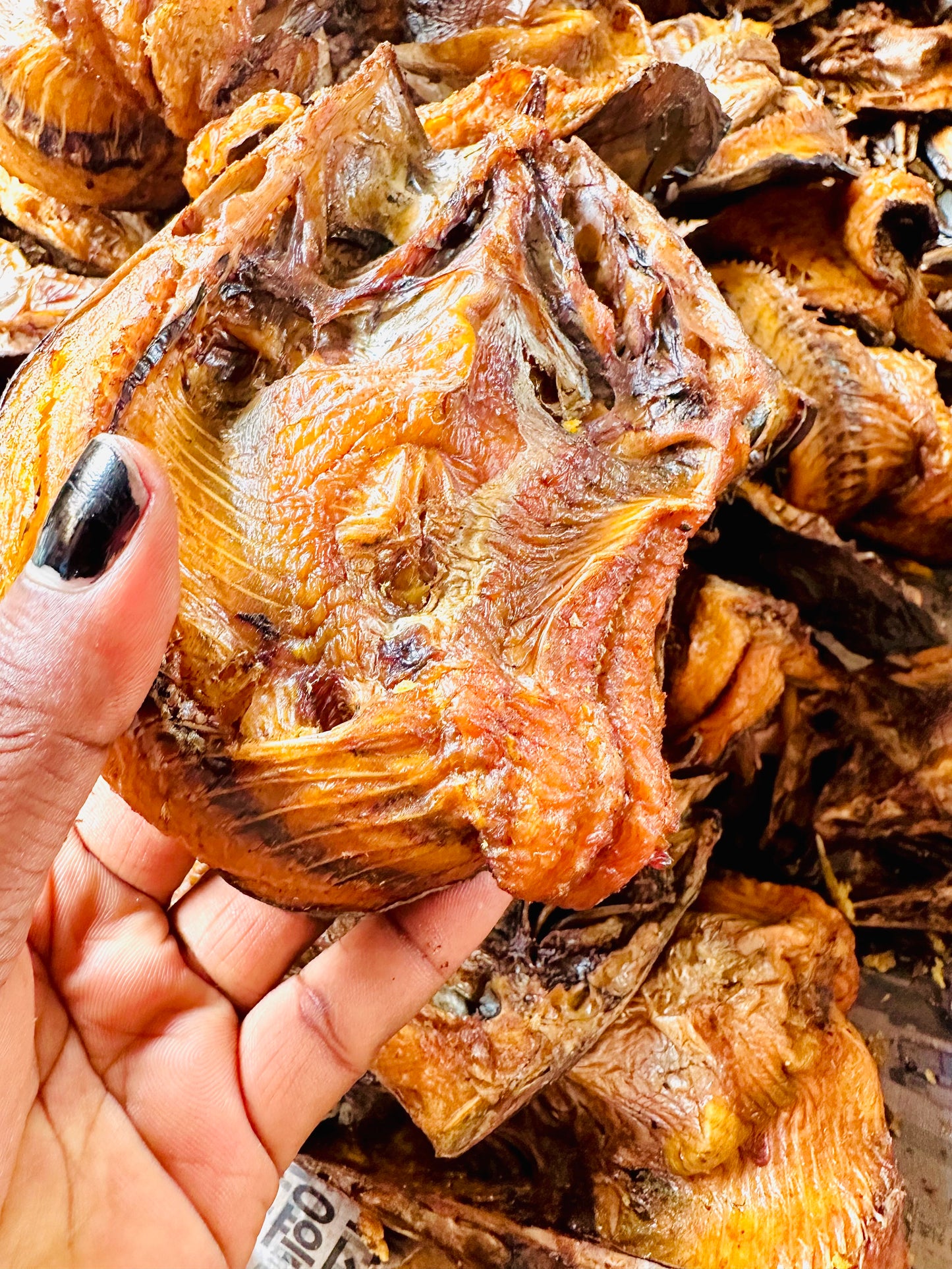 10 pieces Big Butterfly fish