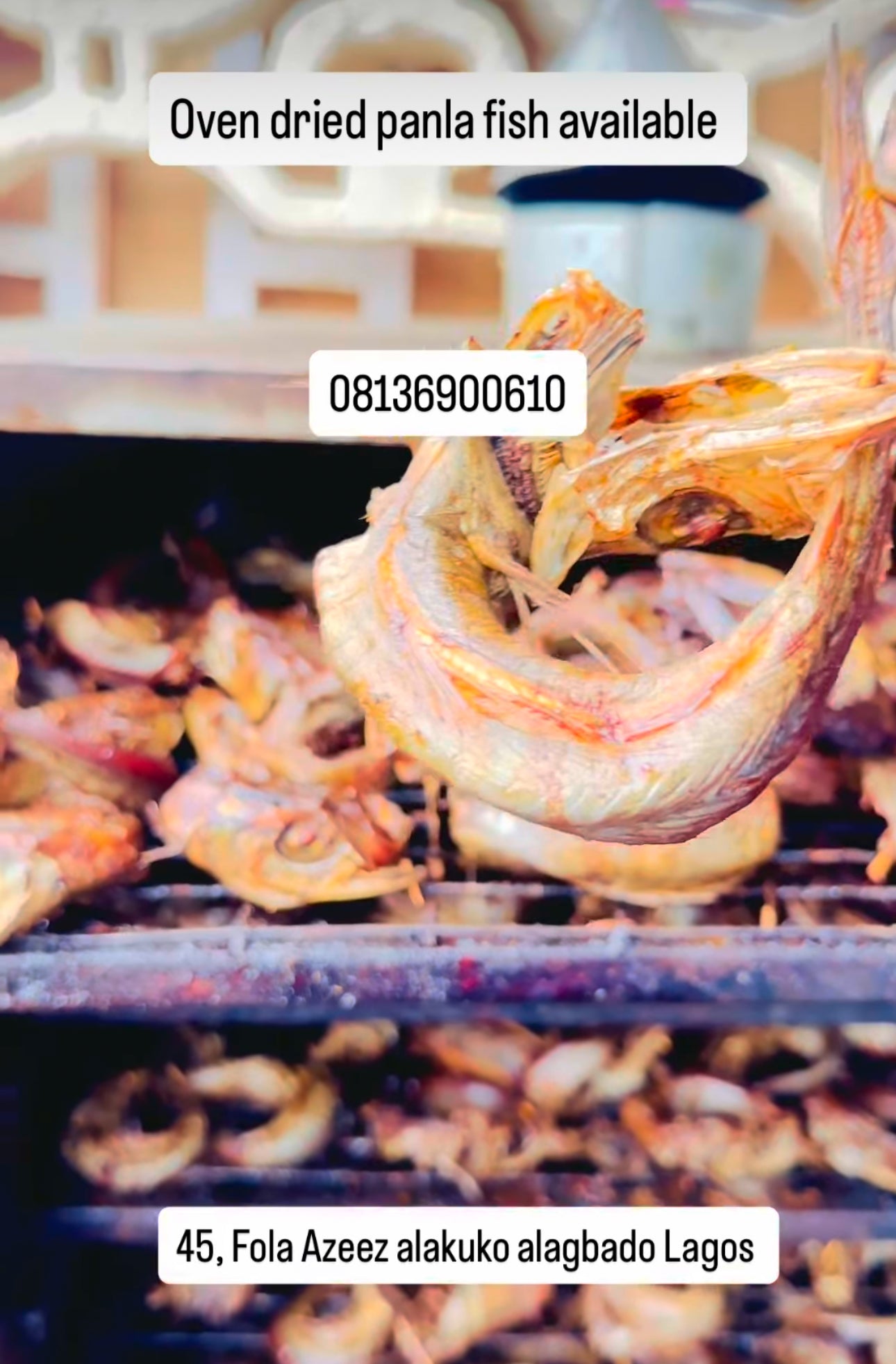 100 pieces Oven Dried Panla fish