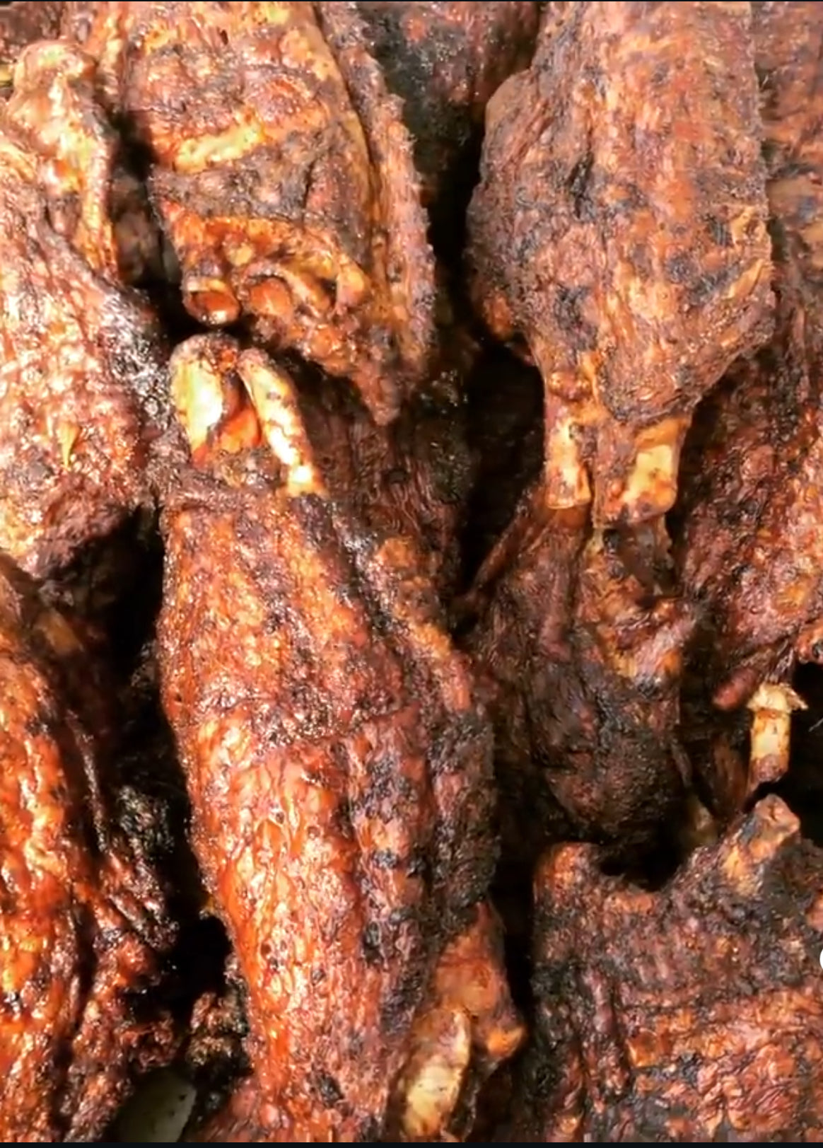 1 carton Oven Dried Turkey 35 -40 pieces