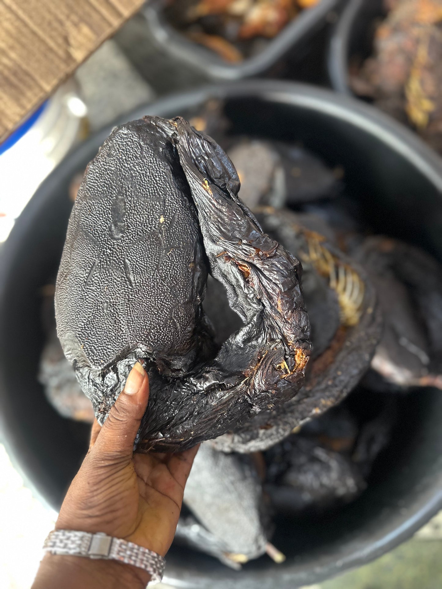 Big Sizes River catfish 5 pcs