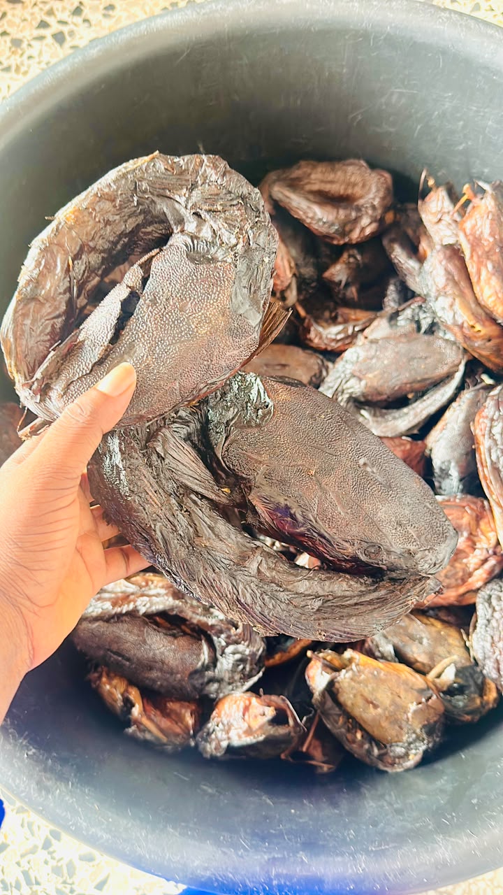 Big Sizes River catfish 10-20 pcs